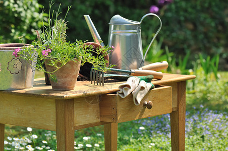 园艺工具和植物安排在花园的图片
