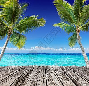 热带海景与木板和棕榈树在绿松石海图片