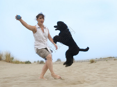 在沙滩上玩贵宾犬的女人图片
