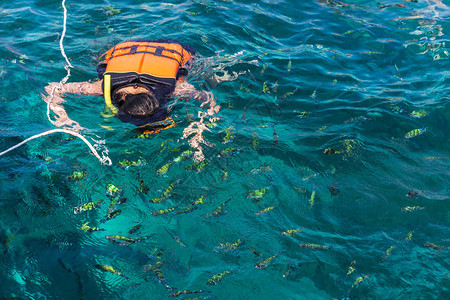 旅游者在泰国的菲斐群岛享受与安达曼海中的救生衣一同向上背景图片