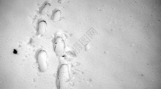 雪地上的脚印第一场雪上的脚印雪地上的动物和鸟类图片