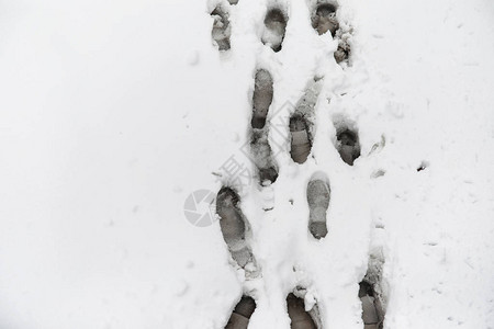 雪地上的脚印第一场雪上的脚印鞋子和脚印动物和鸟类在图片