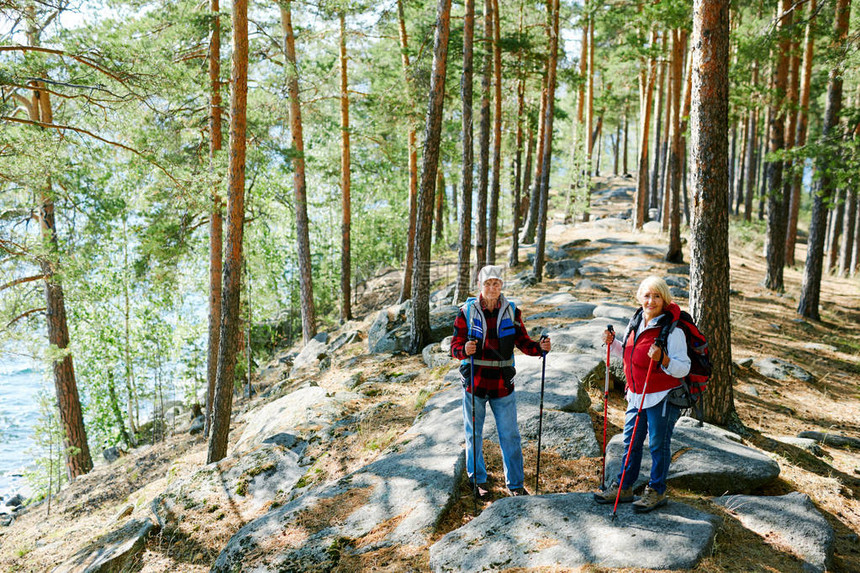 夏季周末在森林中徒步旅行的当代老年人图片