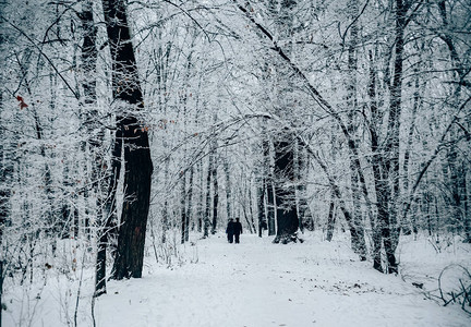 穿过冬季森林的情侣图片
