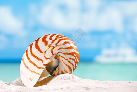 萨拉索塔白色沙滩尘和蓝色海景背上的插画