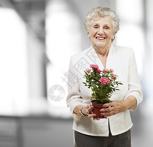拿着花盆的老妇人室内图片