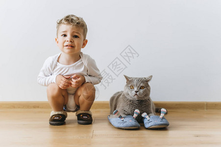 可爱的小可爱男孩和灰色英国短头发猫在图片