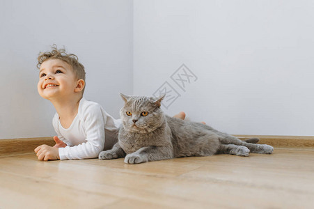 快乐的小孩男和灰色英国短发猫躺在一起躺在图片