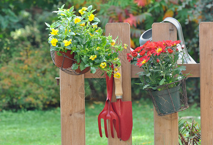 挂在栅栏上的园艺工具和花盆图片