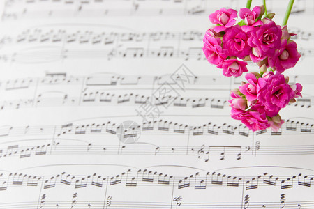 音乐笔记单上的花朵抽象艺术背景图片