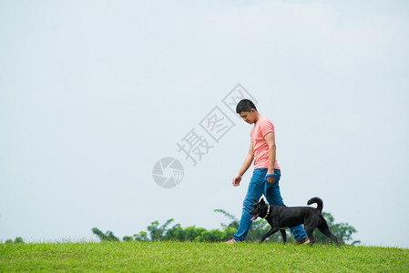 一个狗主人和他的宠物在绿草坪图片