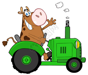 快乐的棕色奶牛农夫在绿色拖拉机挥手致意图片