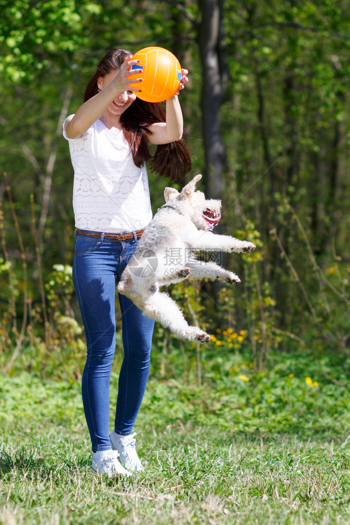 运动中的女孩鲍尔在夏季公园训练狗图片