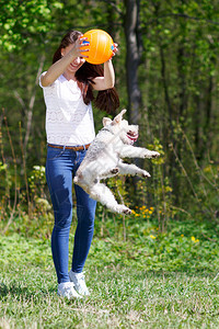 运动中的女孩鲍尔在夏季公园训练狗背景图片
