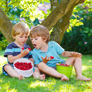 在家里的花园户外吃草莓图片