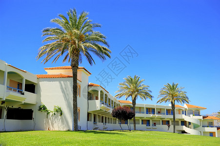 有棕榈树的美丽酒店图片