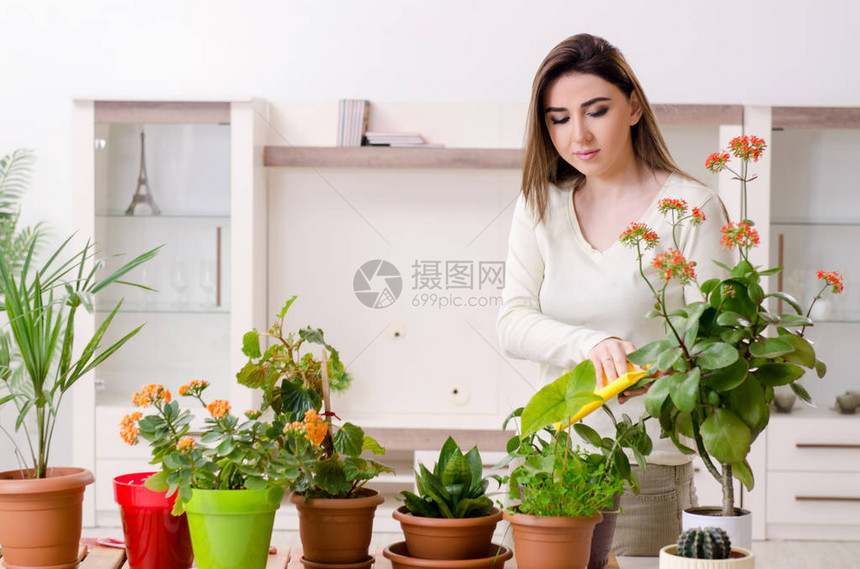 室内有植物的年图片