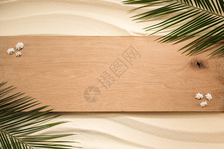 棕榈叶木板和沙地表面贝图片