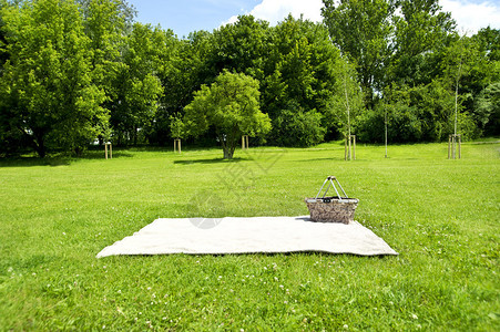 Piknik毯子在草地上图片