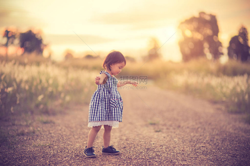 快乐可爱的小孩在田野里玩着夏季日落时自然钉子软颜色版软焦图片