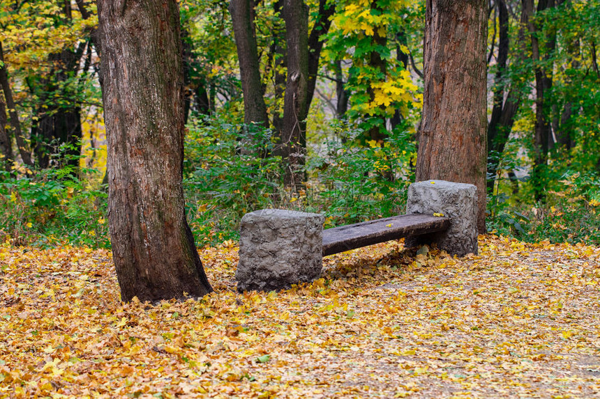秋天公园的座椅秋天风景图片