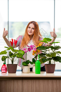 在家照顾植物的红发女人图片