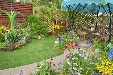 Lush风景观的后院花卉园有背景图片
