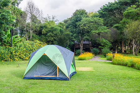在绿色草坪后院放松的帐篷露营图片