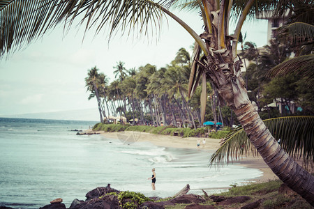 卡阿纳帕利海滩毛伊夏威背景图片