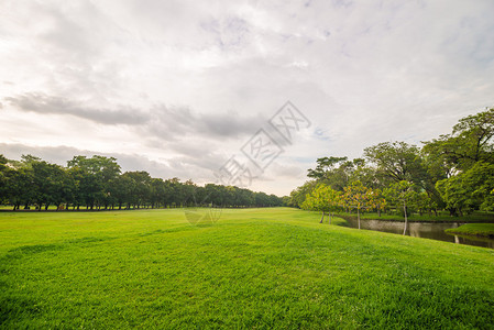 公共中央公园的绿草地有树云天背景图片