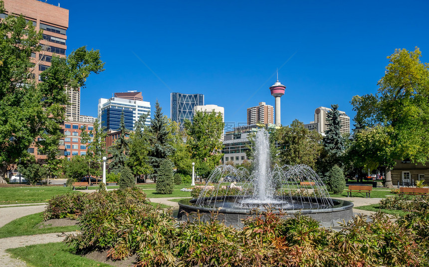 艾伯塔加拿大卡尔加里的纪念公园在美图片