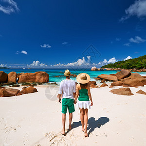 两人在塞舌尔热带海滩上绿色散图片