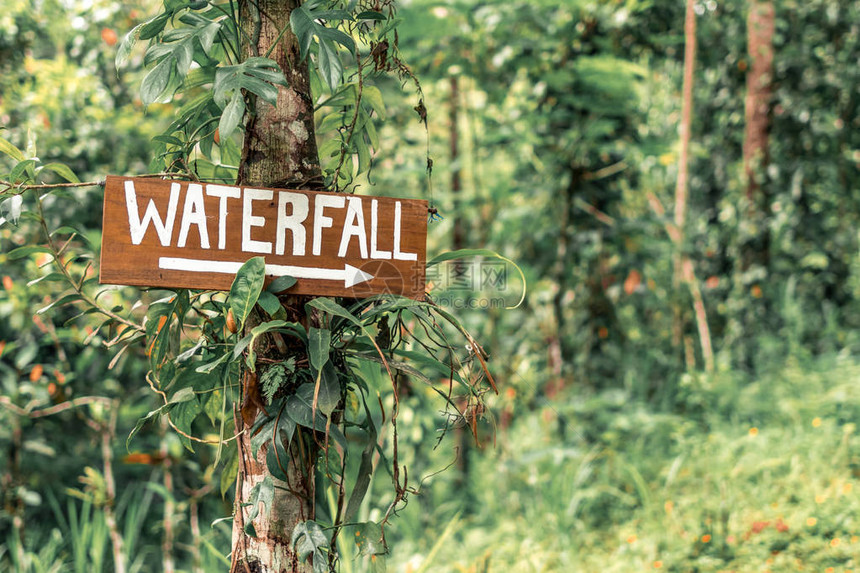 巴厘岛丛林的瀑布标志图片
