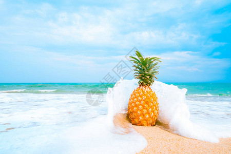 沙滩上的松菠萝清蓝的天空夏假和暑假图片