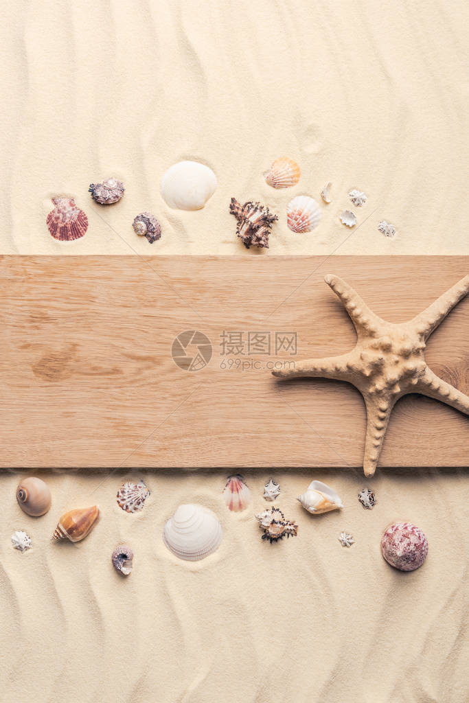 海星在沙滩上带贝壳的木头图片