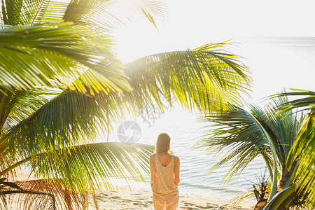 站在海滩上棕榈树之间的女人的背影图片