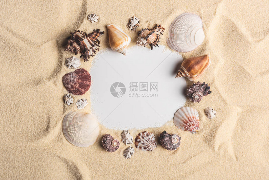 各种贝壳在轻沙上的框架图片