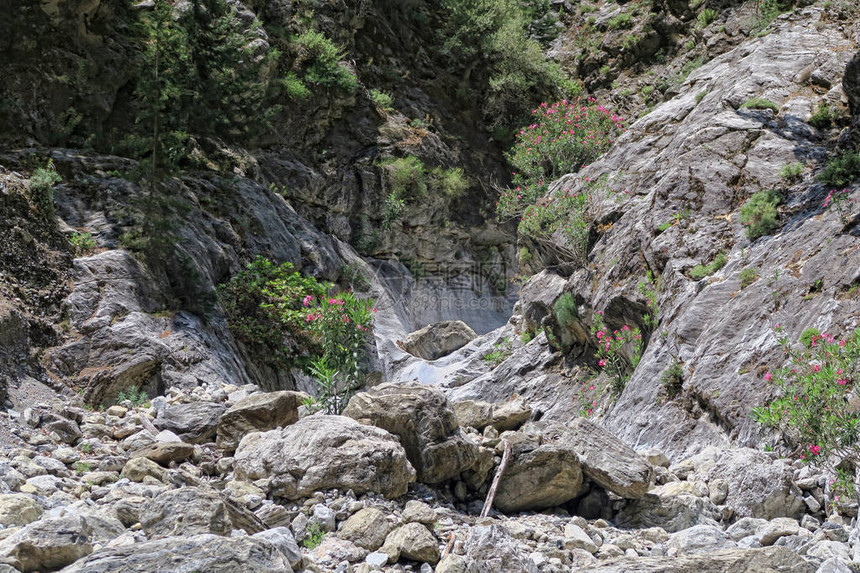 在克里特的Samaria峡谷图片