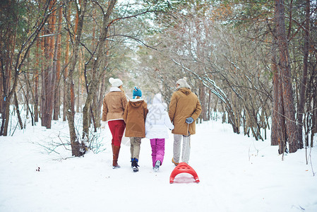 冬季在公园中走动的四图片