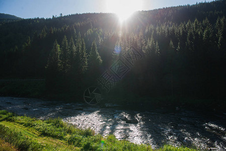 挪威NeirofjordGudvangen森林上山河和阳光照图片