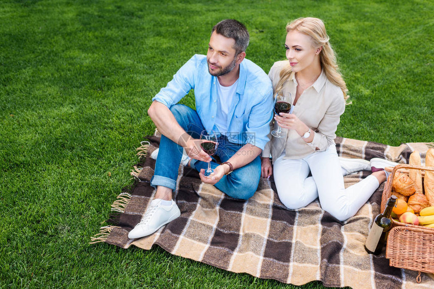 一对夫妇拿着酒杯在野餐时坐在格子上看着图片