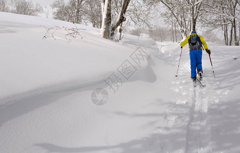 在清雪中攀爬滑雪在森图片