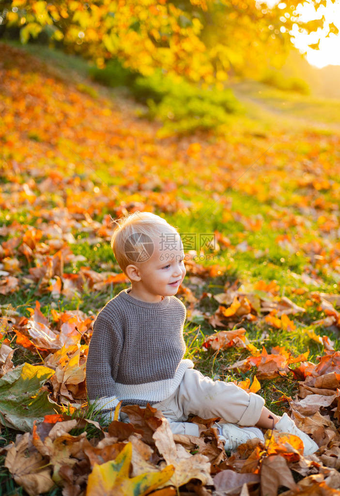 甜蜜的童年回忆儿童秋叶背景秋天的温暖时刻蹒跚学步的男孩蓝眼睛享受秋天阳光明媚的秋日小婴儿蹒跚学步温暖和舒适图片
