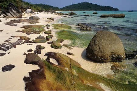 圣海滩富Q图片