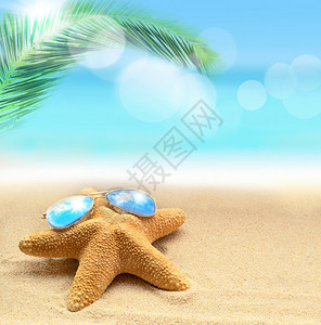 沙滩上的海星和海洋背景中的棕榈树图片