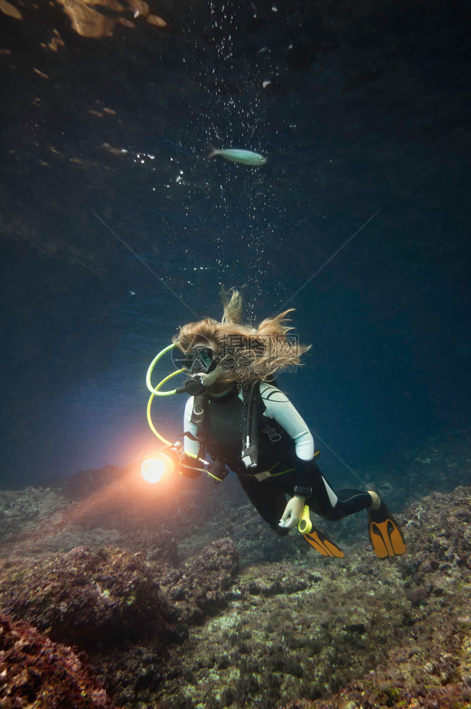 探索地中海底洋生物的女潜水员Sc图片