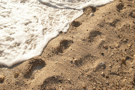 热带沙滩上的脚印图片