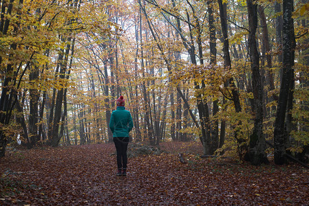 孤独的女人站在森林里图片