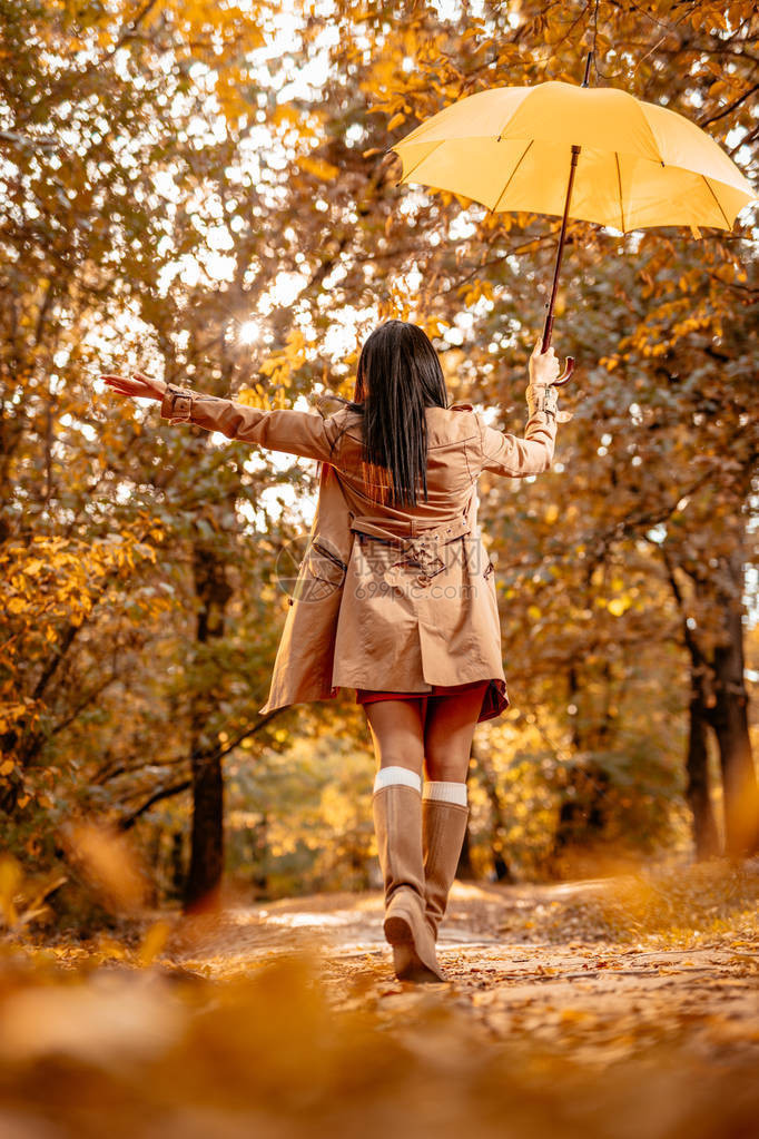 在阳光明媚的秋天公园走着黄色雨图片