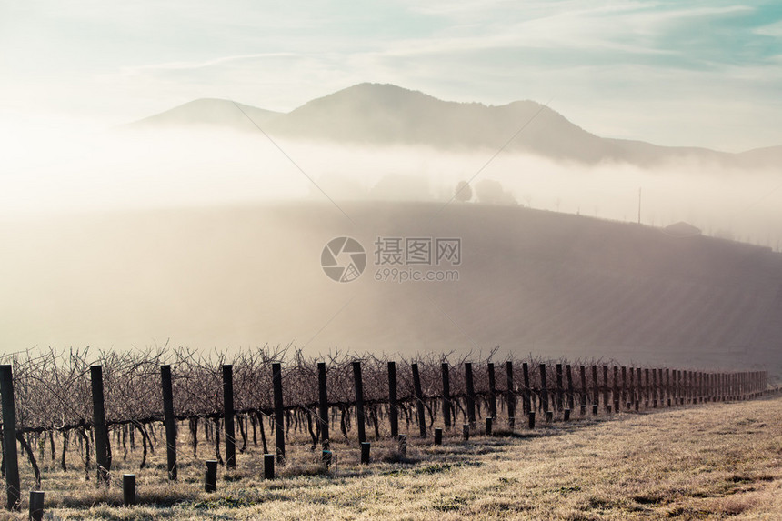 澳大利亚维多利亚州Yarra山谷寒冬的清晨图片